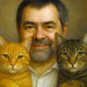 Hauskatzen - Praxis & Alltag
